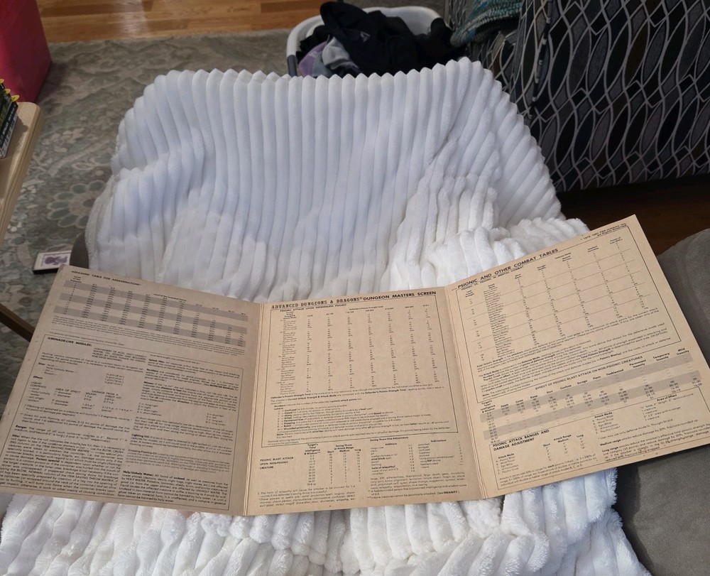 Dungeon Masters Screen "For Advanced D&D Game" - TSR Games (1981)