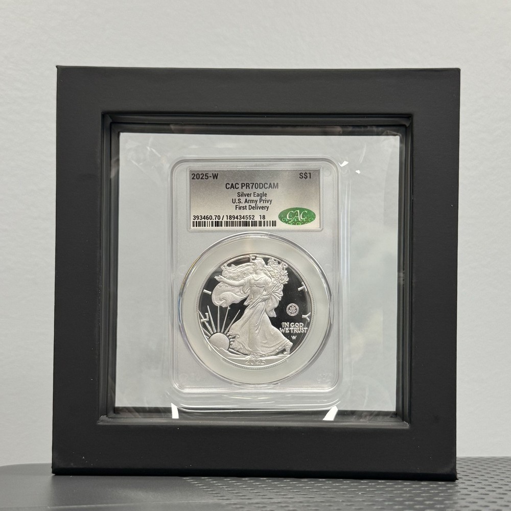 DLRC Display Frame - Other - Perfect for Wall Hanging!