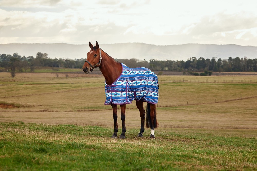 Weatherbeeta Essential Mesh Standard Neck Fly Sheet