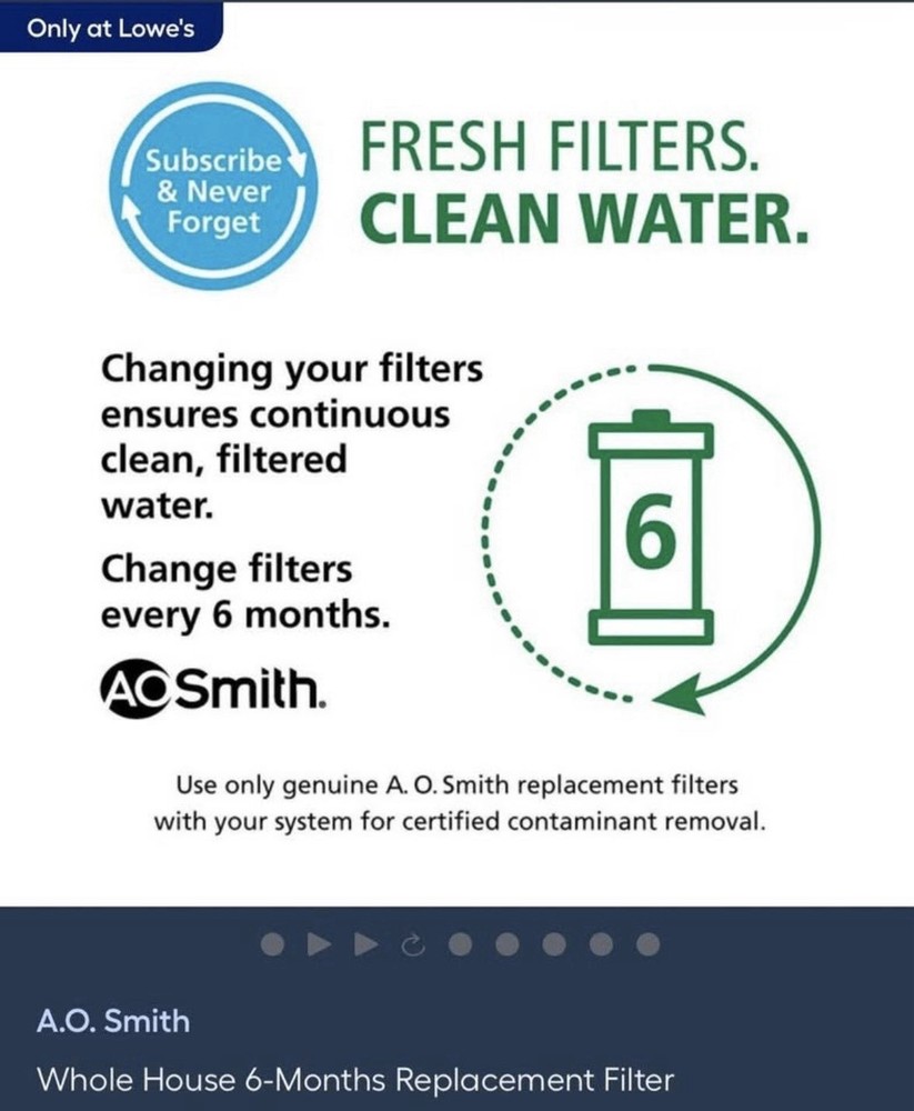 A.O. Smith 6month Whole House Replacement Filter