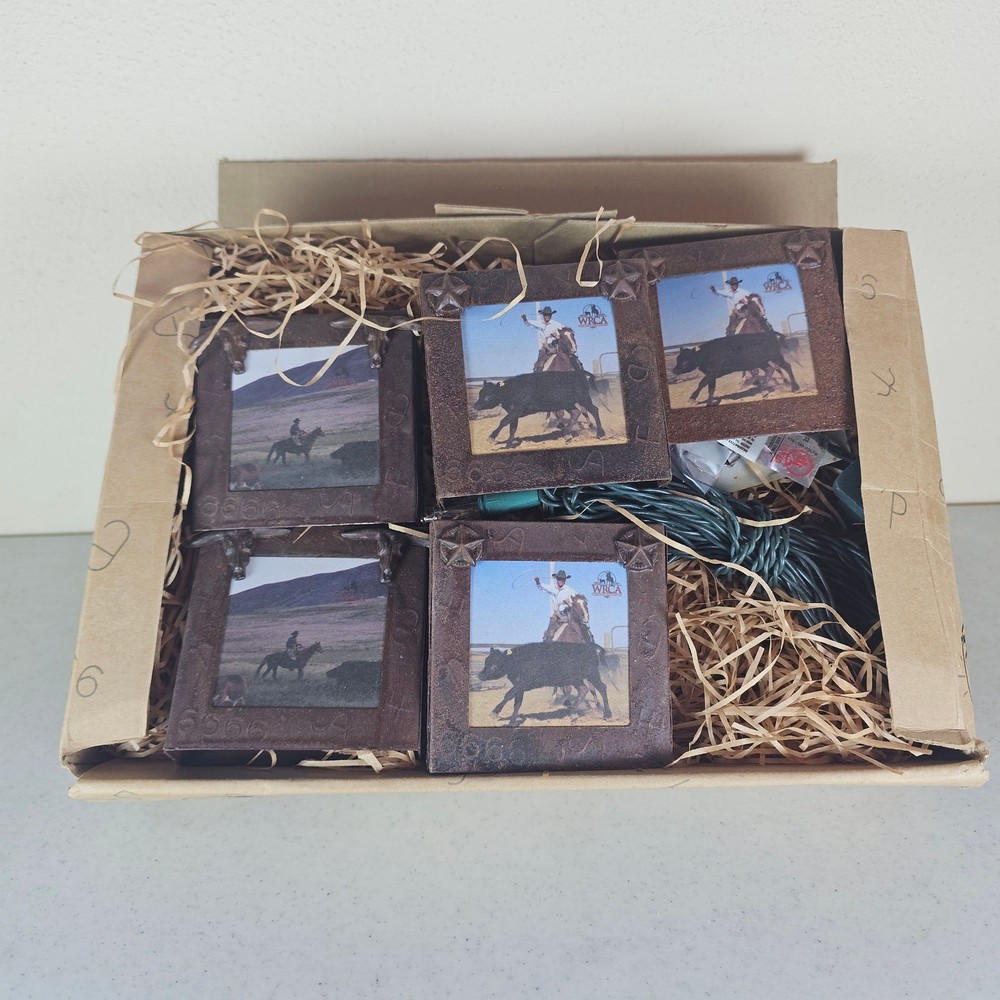 Working Ranch Cowboys Association String Light Set