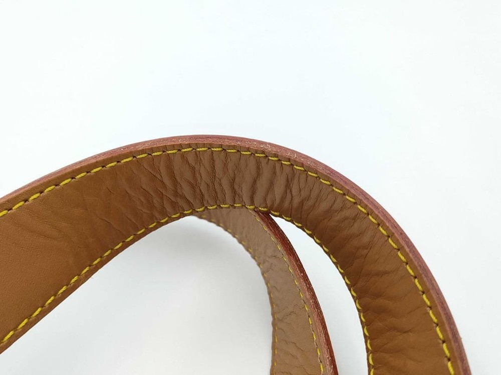 Louis Vuitton Multipli Cite Monogram