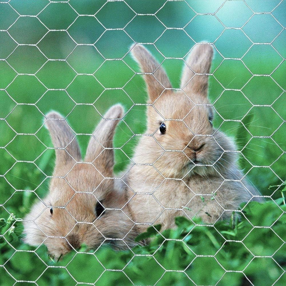 Versatile 20GA Galvanized Hexagonal Chicken Wire - 36'' x 25' for Enclosures