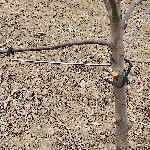 Fruit Tree Limb Spreaders - 5pcs Branch Support & Brace for Tree Growth