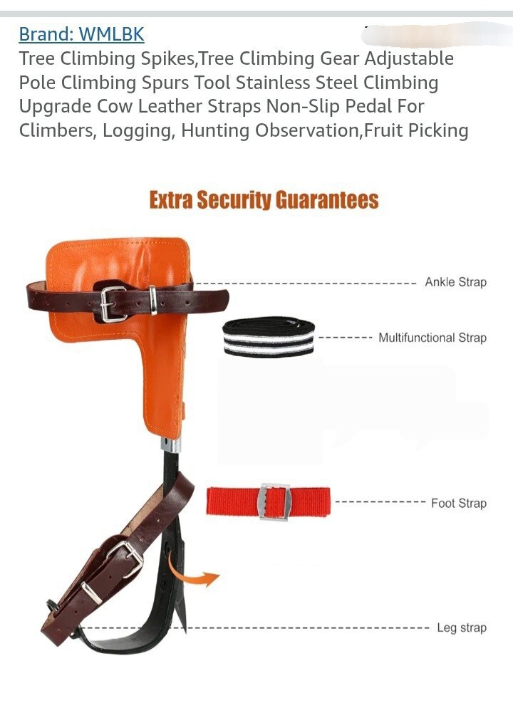 Tree Climbing Spurs Steel