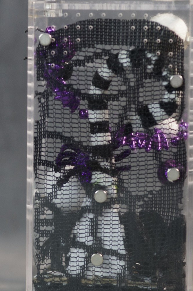 DIY Jumping Spider Enclosure – Custom Decor – Acrylic Case – Needs Sealing