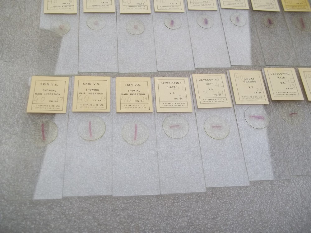 Vintage Glass Microscope Slides -