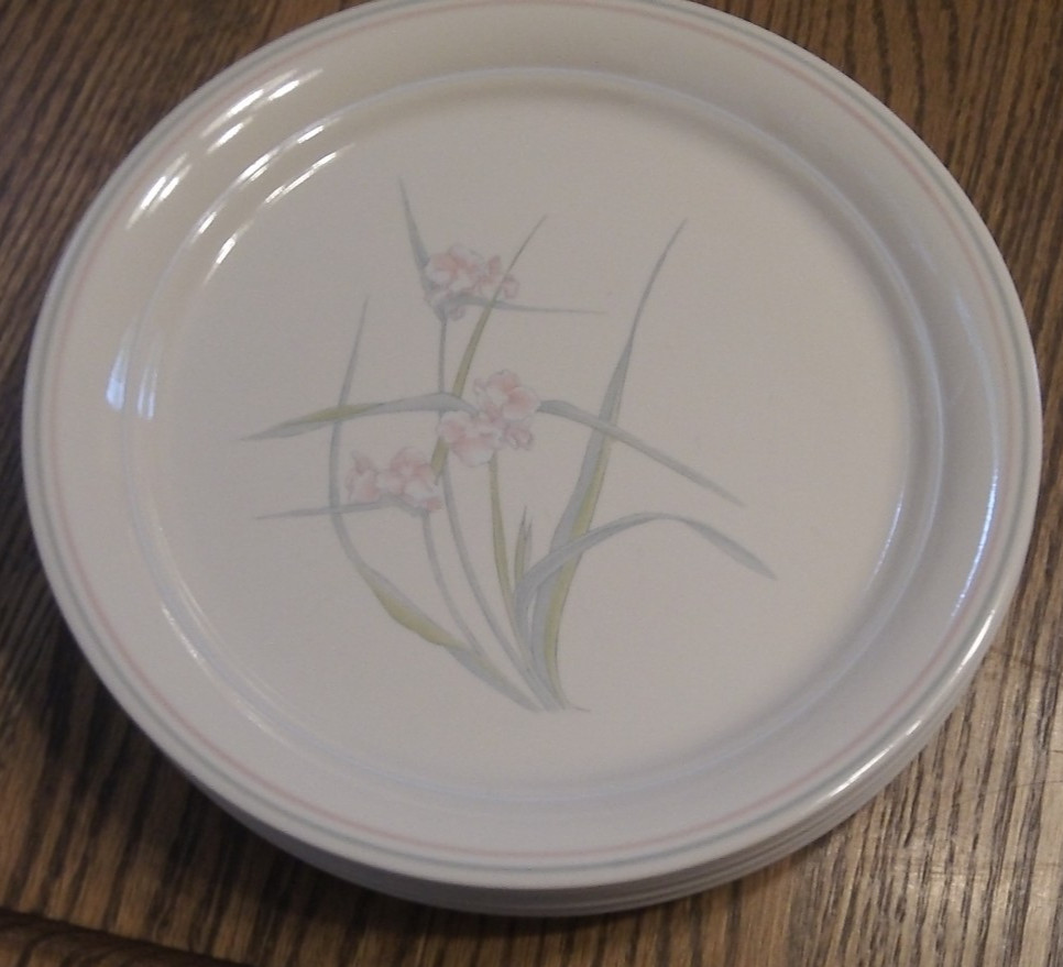 Corelle Spring Pond Dinner Plates 10.25" set/4, EXCELLENT Cornerstone.        S5