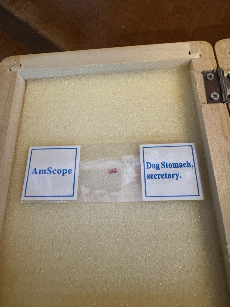 My First Lab Duo-Scope Microscope MFL-06 Extra Slides STEM