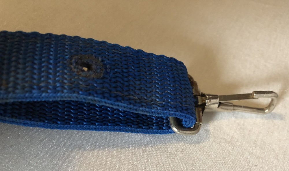 Fabtron Sky Blue Nylon Web Felt-Lined Comfort Breast Collar