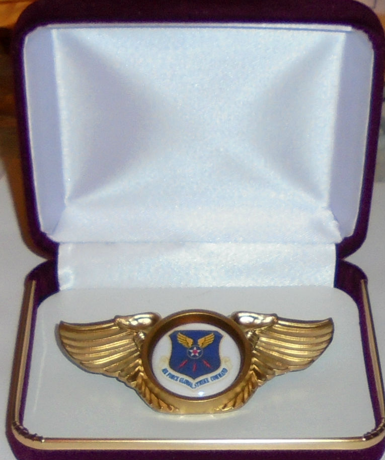 Air Force Global Strike Command Fighter Squadron Pilot Crew Wing Jacket Hat Pin