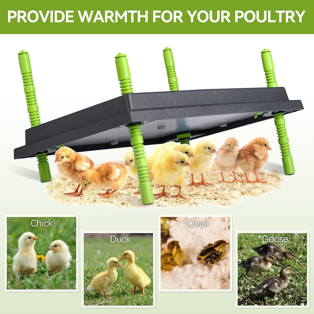 Chick Brooder Heater Plate, 12"X16" Warmer Brooder Plate for Chicks with Adjusta