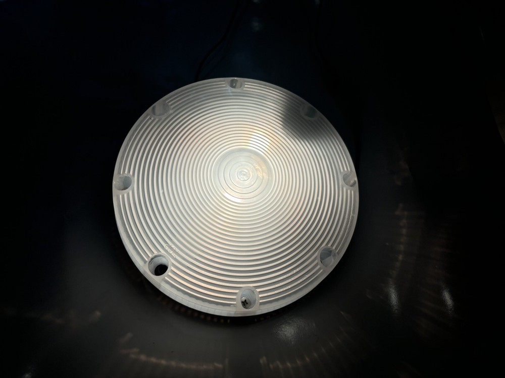KD744 7” Clear/White Reverse Light 1 Wire