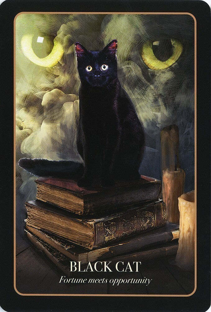 Tarot Card Set - The Halloween Oracle