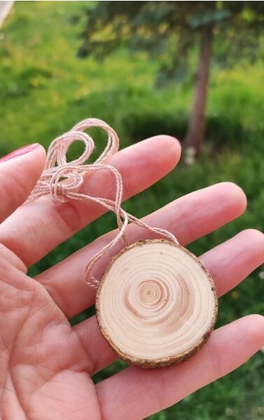 Pendant from Siberian cedar Ringing cedars