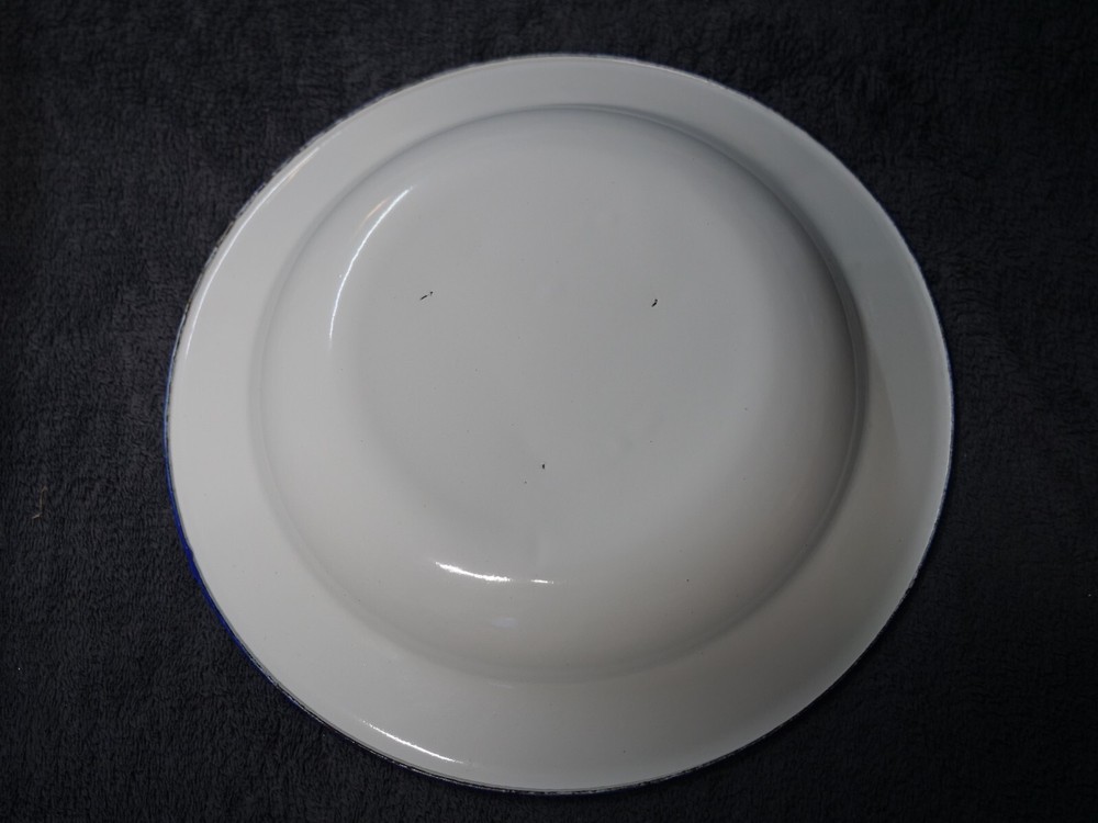 Enamel Dinner Plate 10” White W/ Blue Trim