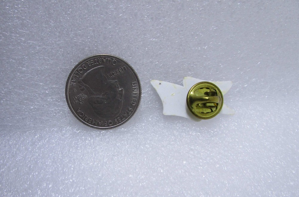 Odessa Texas Flag Plastic Pin