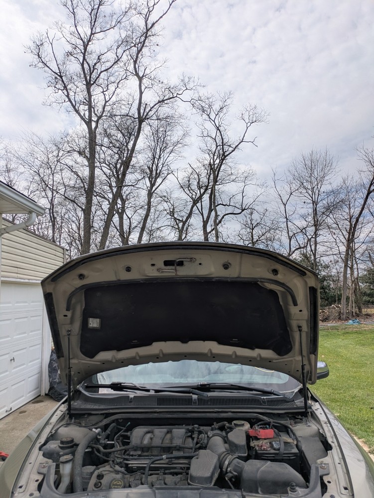 2013-2019 Ford Taurus Hood OEM