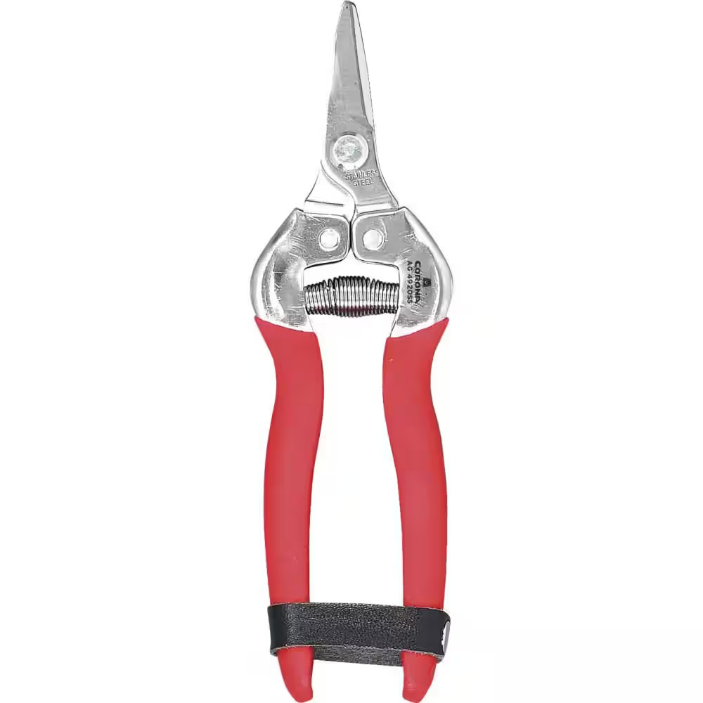 1 In. Stainless Steel Short Curved Snips