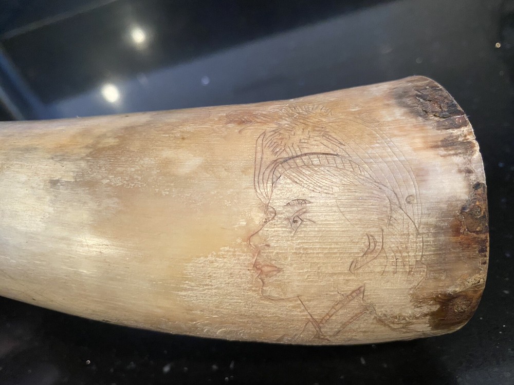 Powder Horn-NMLRA- Black Powder Muzzleloader