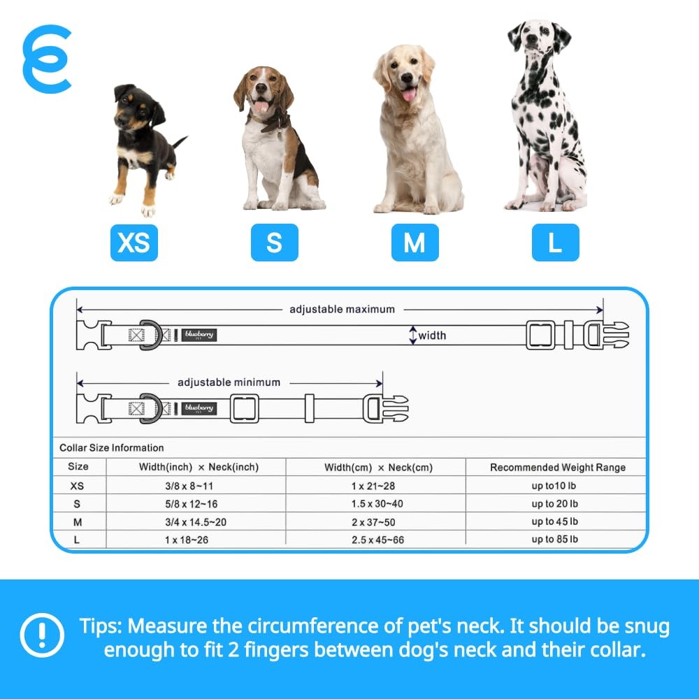 Essentials Reflective Dog Collar for Medium Dogs | Adjustable Nylon Collar in...