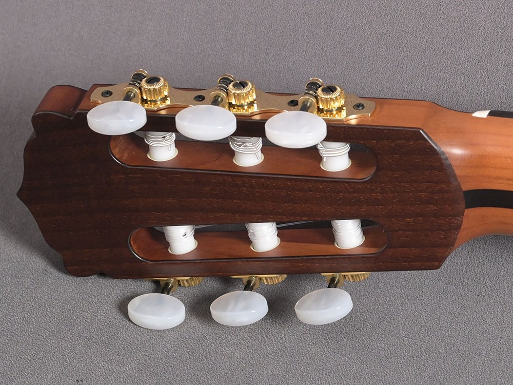 Hanika Jahresmodell 2024