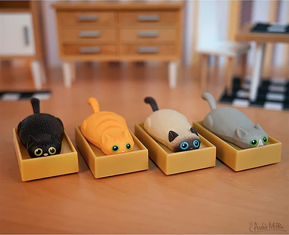 Racing Cats in Boxes - 4 Piece Set Bundle Set