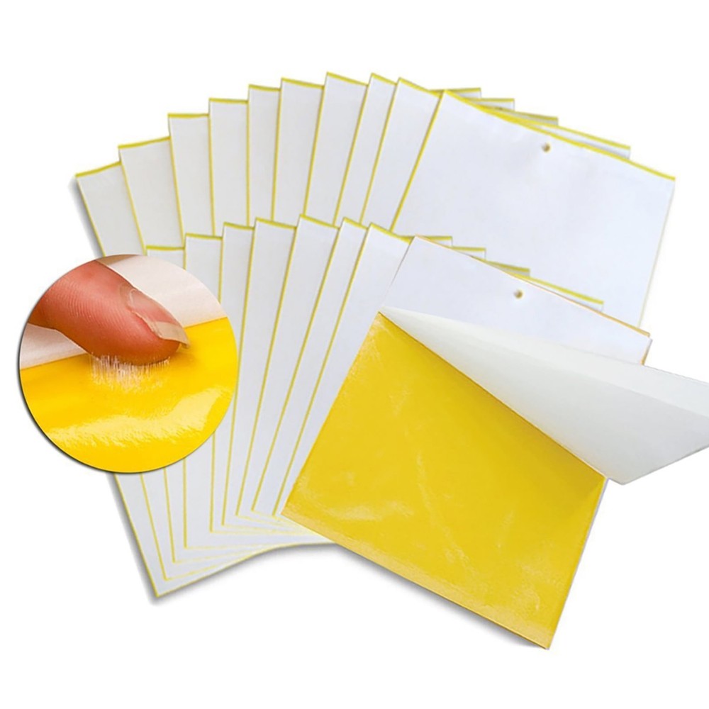 20 Pcs Bug Trap Killer Strong Paper Sticky Glue