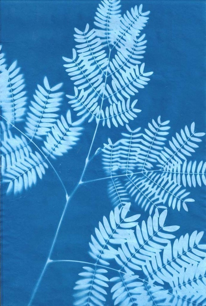 Paper Kit