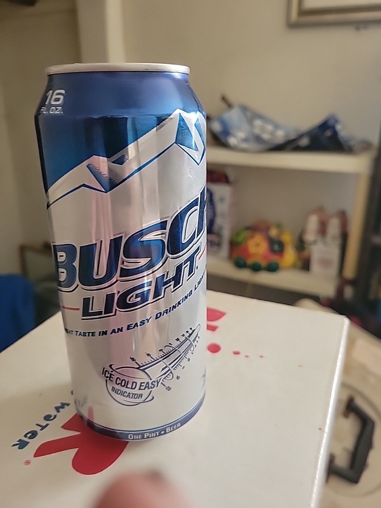 2013 Busch Light Empty Can