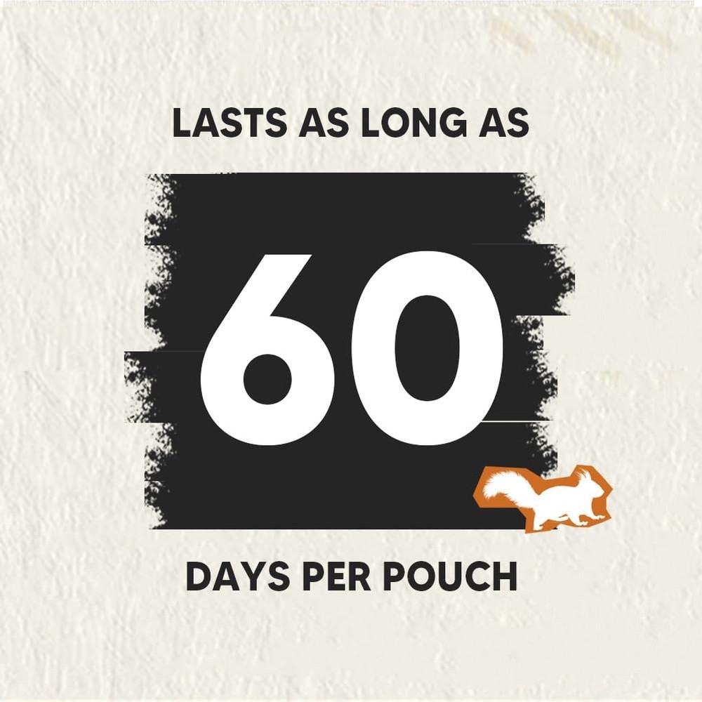 KQCWKH Squirrel keep out of