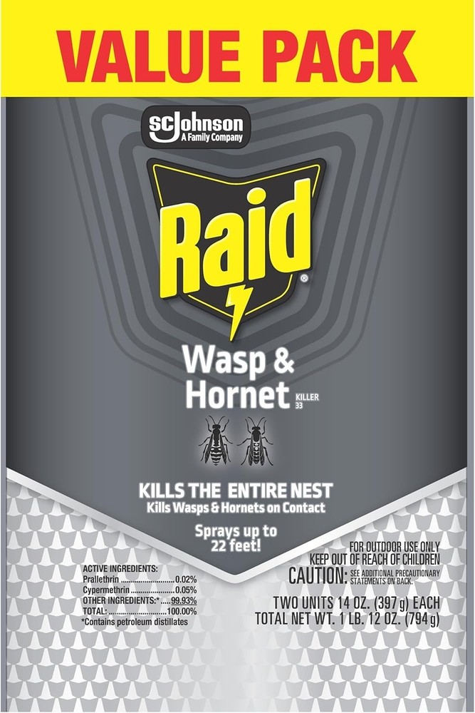 Raid Wasp & Hornet Killer Spray, Bug Killer Kills best and fast 2025