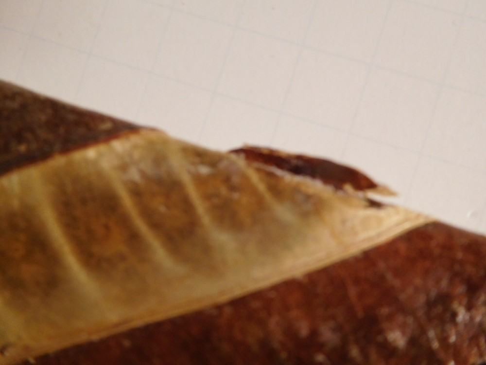 100% Natural Handmade Notebook ~ St Maarten ~ Un-used ~ An Ecological Miracle!