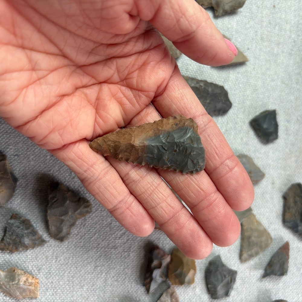 Ancient Points Native American Arrow Heads Fragment 50+ Pieces Unauthenticated