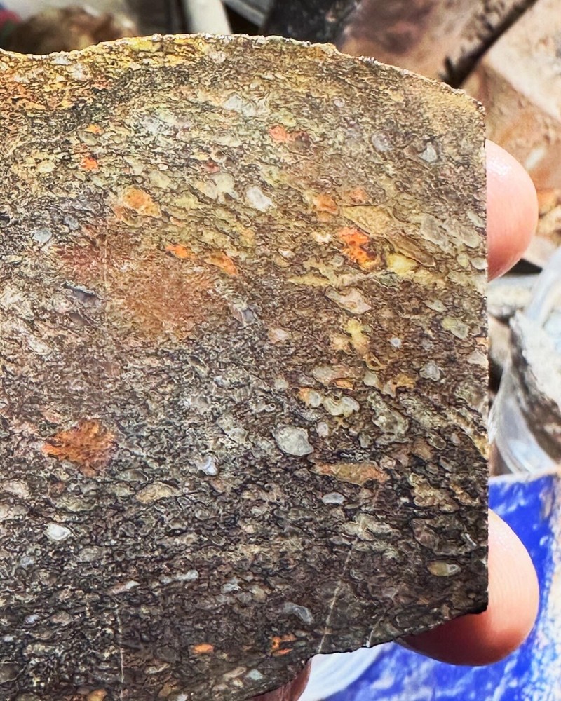 Dinosaur bone rough slab.