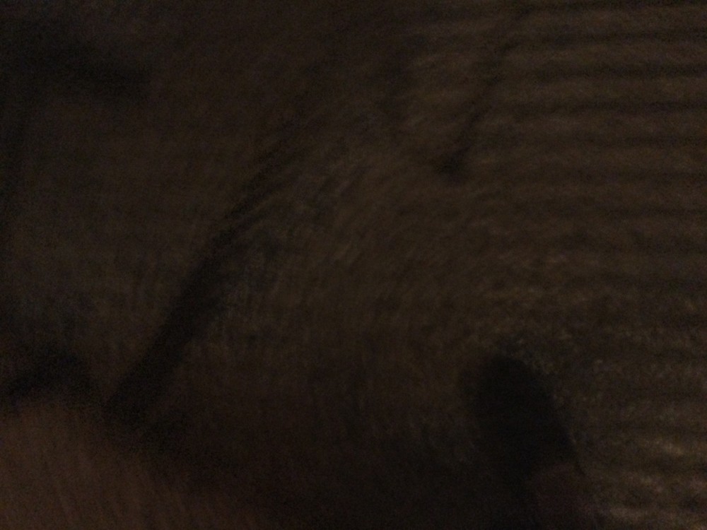 Dan-Echo Delay Pedal