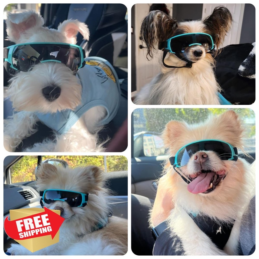Billionchains Blue Small Dog Goggles Anti-UV Windproof