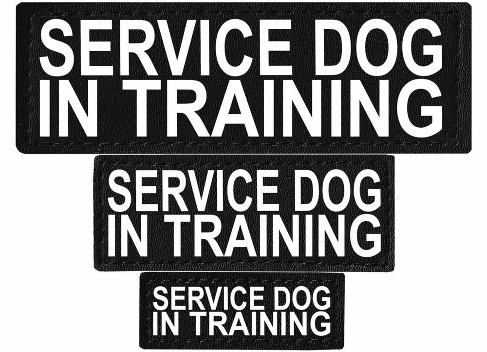 SERVICE DOG IN TRAINING Patch Reflective Tag for Dog Harness Service