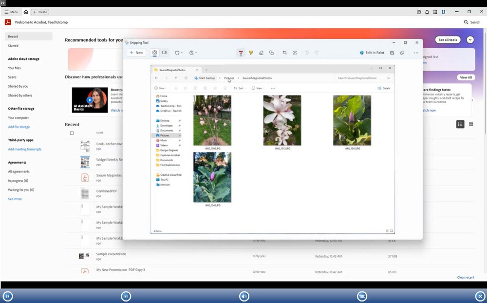 Adobe ACROBAT Pro DC DELUXE Video Training Tutorial & Quick Reference Guide