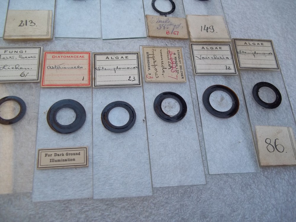 Vintage Glass Microscope Slides - As shown