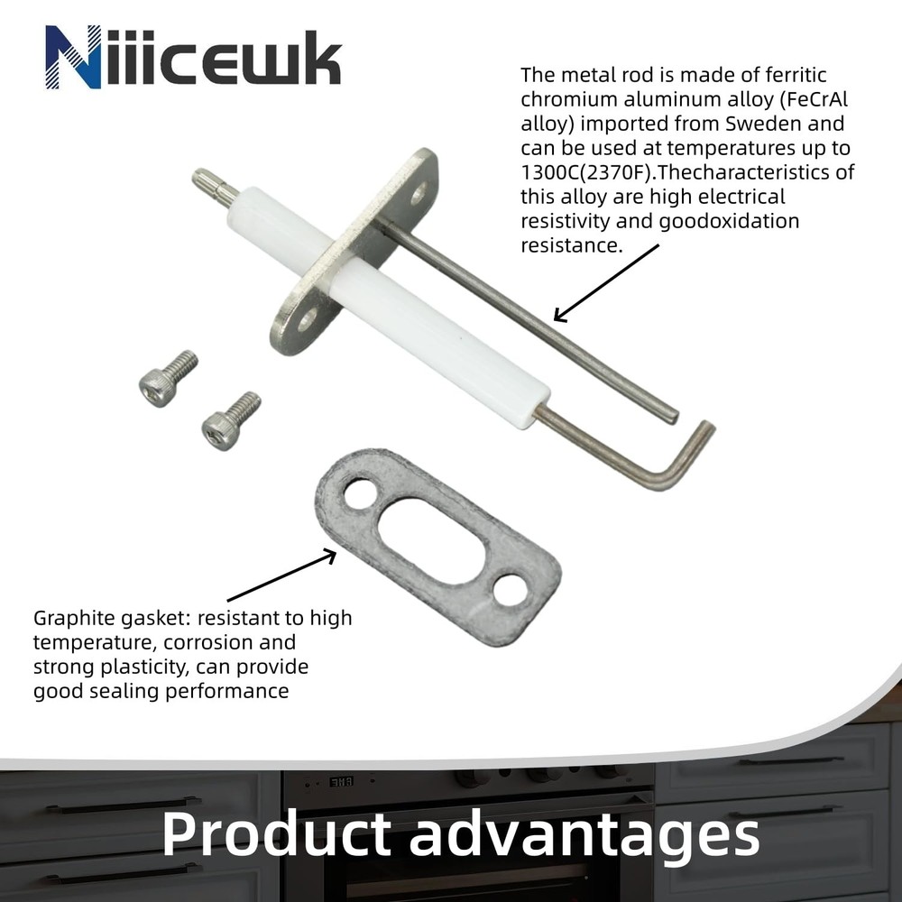 7828718 Ignitor Ionization Electrode Block and Graphite Gasket Compatible with V