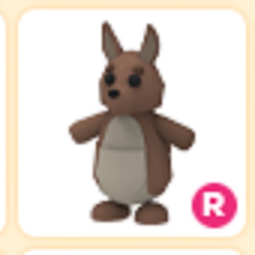 Summer Festival | R Kangaroo | Adopt From