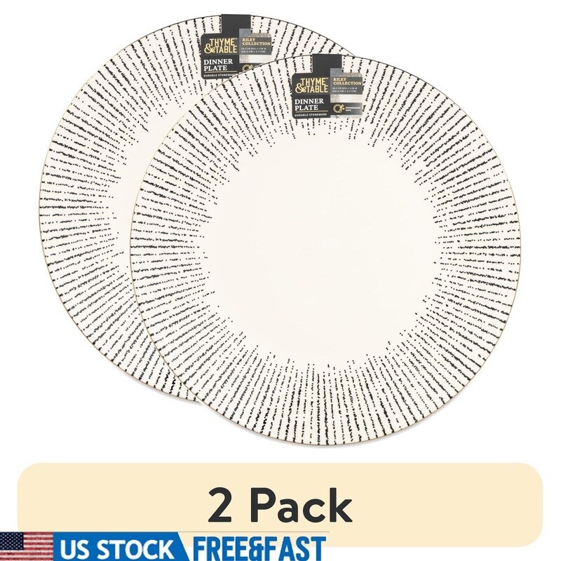 2 Pack Stoneware Dinner Plates Unique Pattern Functional Main Course & Salads US