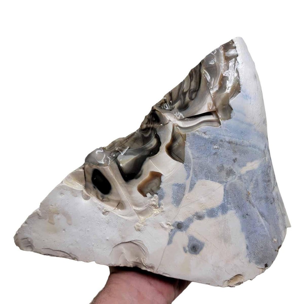 RARE Polish Flint Orbicular Rough Chunk!