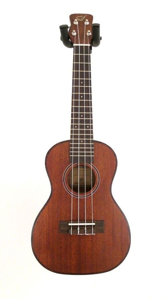 Journey UC310 - Solid Top Mahogany Concert Ukulele with Case