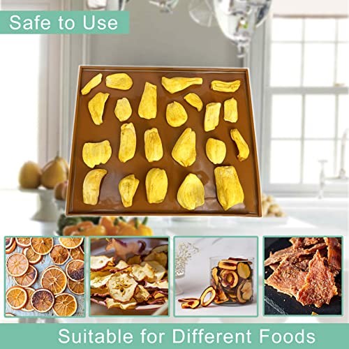 6PCS Silicone Dehydrator Sheets - Nonstick fruit leather trays for Brown