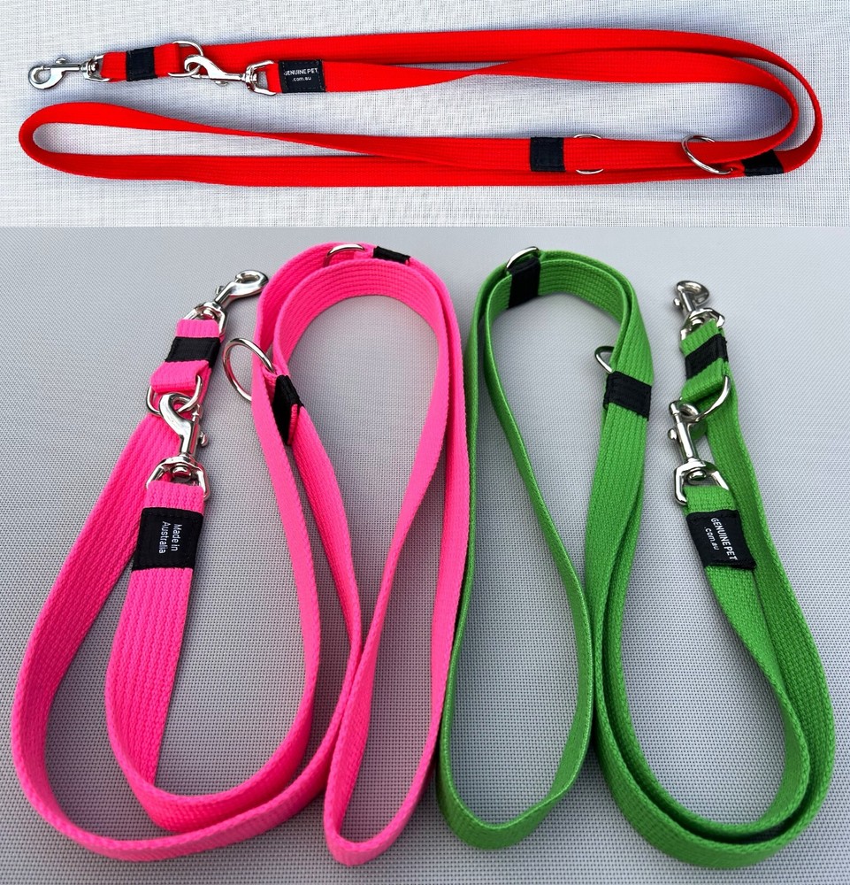Multi-Function Dog Lead Training Leash Collar Webbing