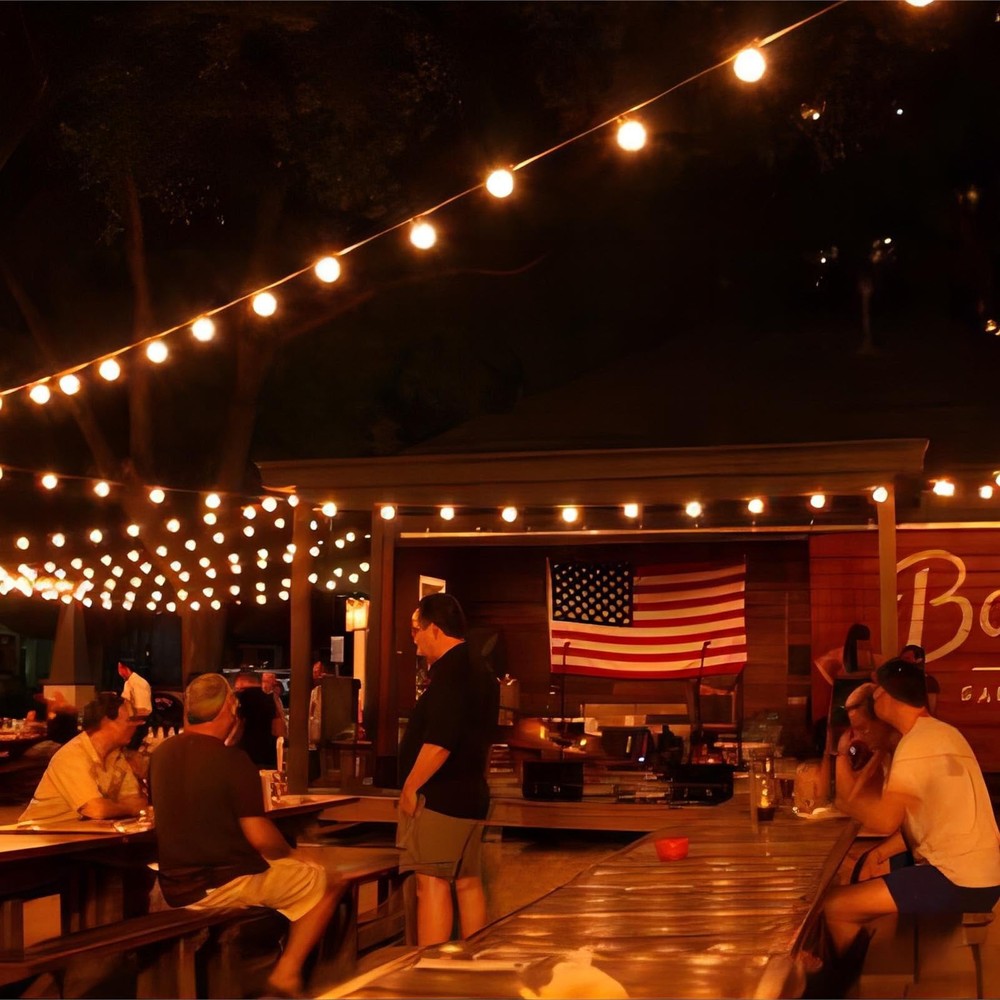 DC 3V Low Voltage, Solar Replacement Bulbs for G40 outoodr String Lights, Sha...