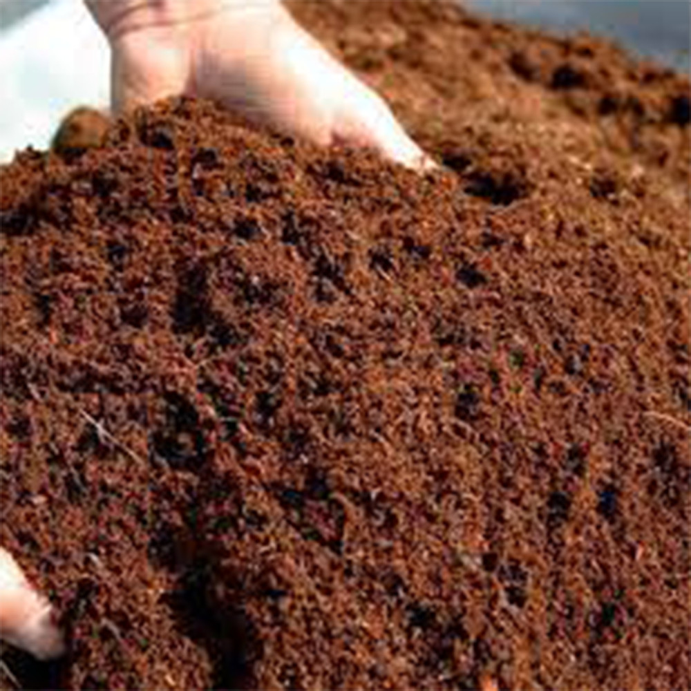 coconut husk powder