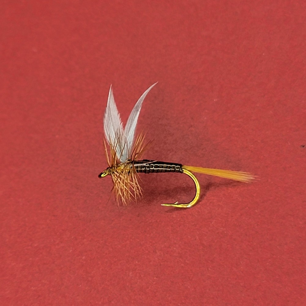 Ginger Quill | Size #14